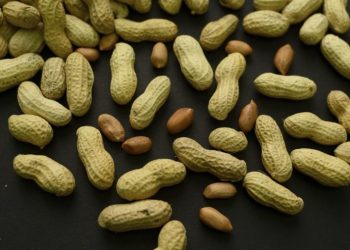 Feeding peanuts to young children can reduce allergy risk: Study