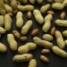 Feeding peanuts to young children can reduce allergy risk: Study