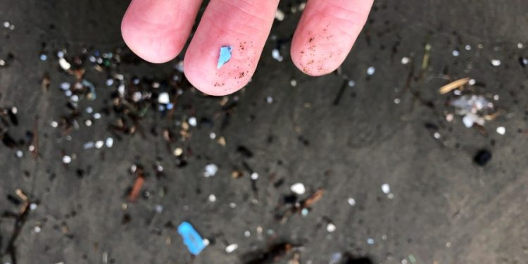 Microplastics ‘pervasive’ in human testicles: New study
