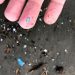 Microplastics ‘pervasive’ in human testicles: New study