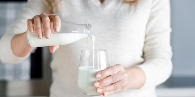 How a growing enthusiasm for raw milk is clashing with avian flu fears