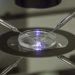 82 percent say IVF is morally acceptable: Gallup poll