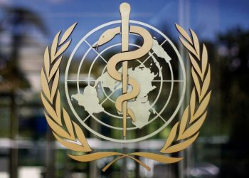 WHO confirms first death from bird flu strain not seen before in humans
