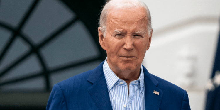 Biden stops short of lauding Supreme Court abortion pill ruling, citing Roe