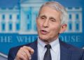 Fauci on RFK Jr.: ‘I don’t know what’s going on in his head, but it’s not good’