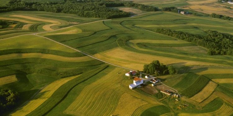 Pesticides as big a cancer risk as smoking, study finds