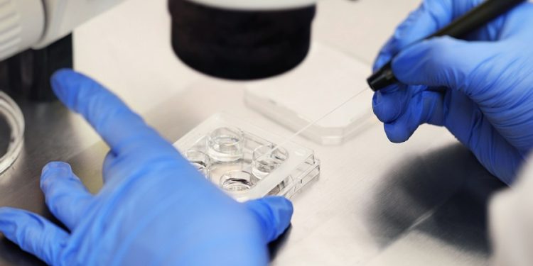 62 percent in new poll support IVF access