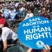 Support rising for access to abortions for any reason: Survey
