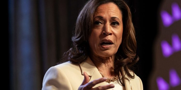 Musk accuses Harris of lying about Trump’s stance on national abortion ban