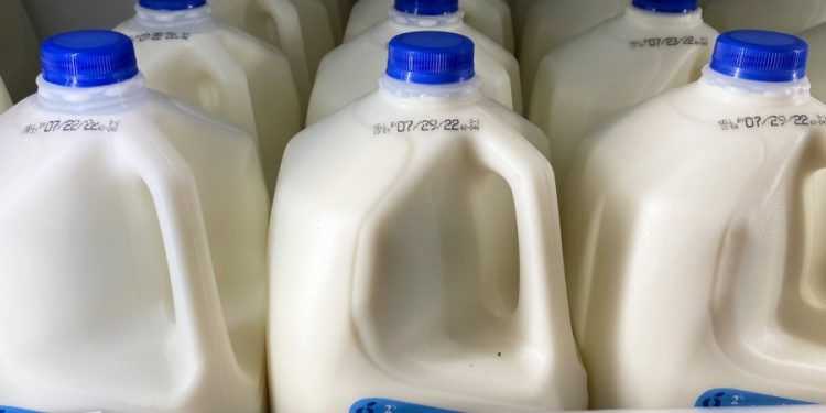 Colorado requiring dairies to test milk for bird flu