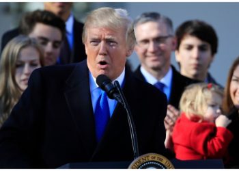 Trump’s voter-led vision for abortion meets state resistance 