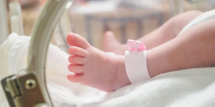 US birthrate hits new low, CDC data shows
