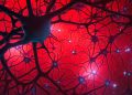 Faster ‘in a dish’ model may speed up treatment for Parkinson’s