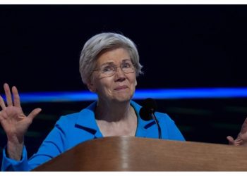 Warren on Trump-Vance pledge to veto abortion ban: ‘American women are not stupid’