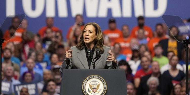Harris campaign bashes Trump’s ‘online meltdown’ on abortion