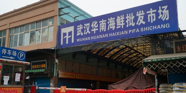 Study supports COVID-19 origin theory linked to Wuhan animal market