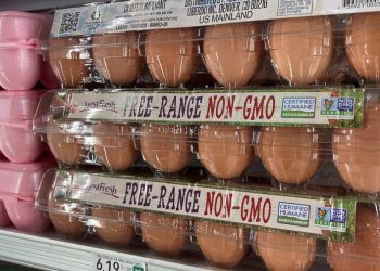 Rising egg prices linked to bird flu’s impact on supply chain