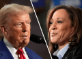 Harris holds 67-point lead over Trump among LGBTQ voters: poll