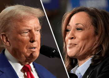 Harris holds 67-point lead over Trump among LGBTQ voters: poll