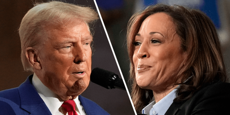 Harris holds 67-point lead over Trump among LGBTQ voters: poll
