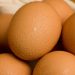 CDC issues warning over recalled eggs sold in three states
