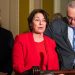 Klobuchar: ‘I think you’re gonna see Florida in play’ because of abortion