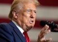 Trump says he would veto national abortion ban