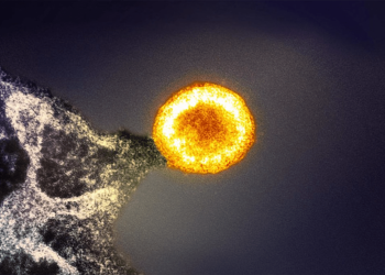 How HIV research has reshaped modern medicine