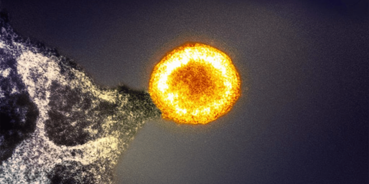 How HIV research has reshaped modern medicine 