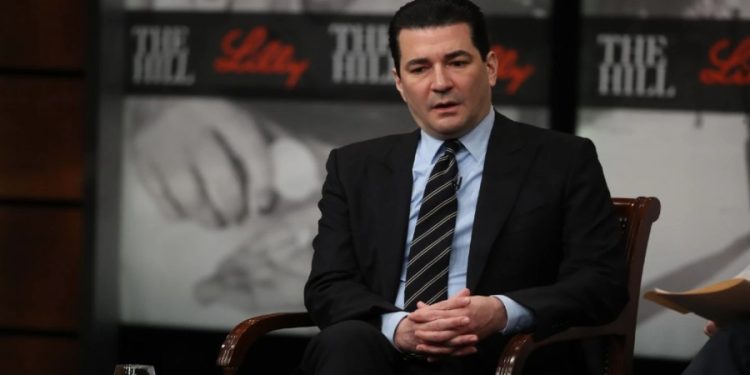 Gottlieb: RFK Jr. ‘will cost lives’ if he follows through on health plans