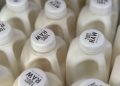 FDA testing aged raw cow’s milk cheese for bird flu