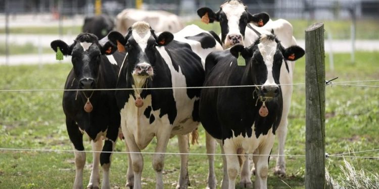 What to know about California bird flu emergency