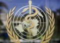 Trump ordered the US to withdraw from the WHO. What comes next?  