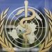 Trump ordered the US to withdraw from the WHO. What comes next?