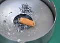 1 cigarette can decrease life expectancy by 20 minutes: Data