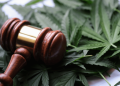 Marijuana rescheduling runs into roadblock