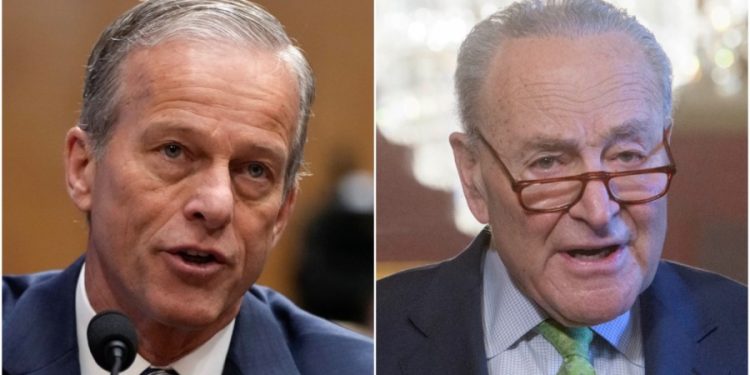 Senate Democrats block GOP’s ‘born-alive’ abortion bill