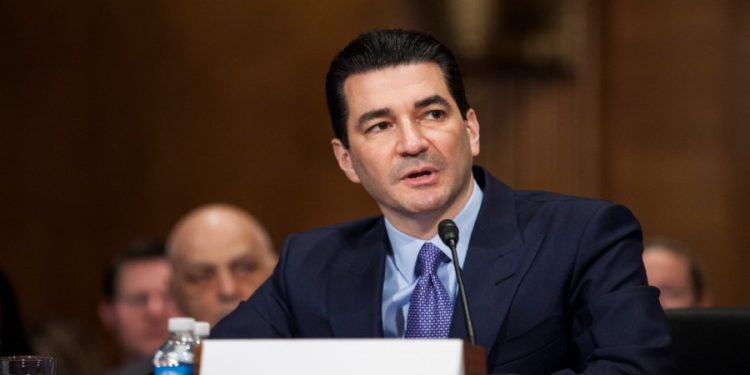 Ex-FDA chief says Biden ‘mishandling’ bird flu, urges swift action from Trump