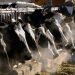 Second strain of bird flu found in Nevada dairy cows