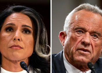 Gabbard, RFK Jr. face make-or-break moment after perilous hearings