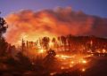Wildfires are complicating cancer care: Study