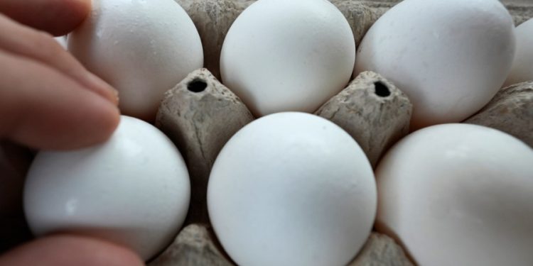 Trump administration to import eggs from Turkey, South Korea
