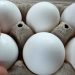 Trump administration to import eggs from Turkey, South Korea