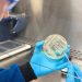 Harvard startup creating a new class of antibiotics