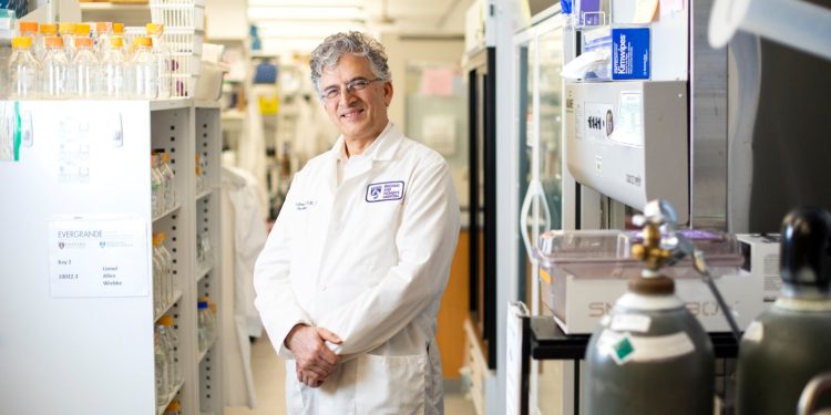 Immune-system strategy used to treat cancer may help with Alzheimer’s