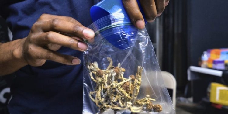 Iowa House passes measure legalizing psilocybin use