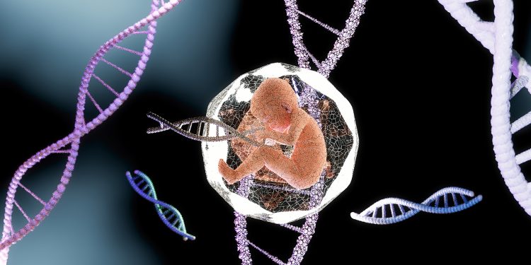 Researchers ID genetic disorders that can be treated before birth