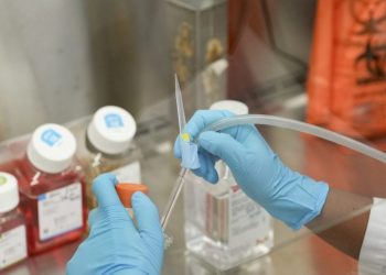 Universities struggle to keep cancer research afloat amid Trump funding cuts