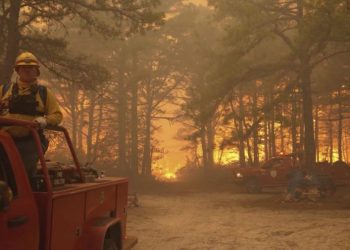 Wildfire smoke exposure is harming pregnant patients who have limited access to health care: Study
