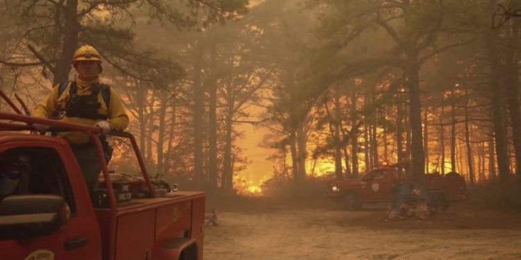 Wildfire smoke exposure is harming pregnant patients who have limited access to health care: Study